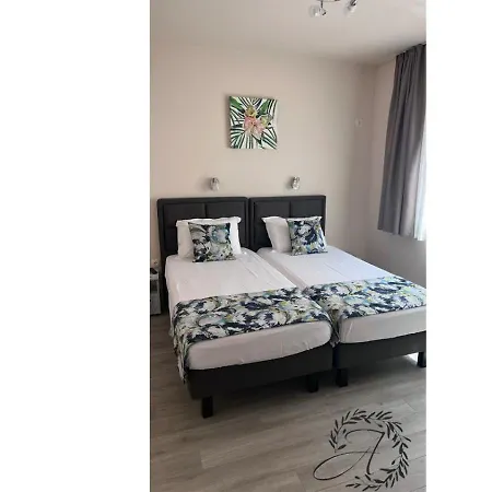 и студиа алекса And Alexa Sozopol