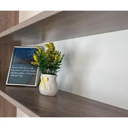 Apartamento и студиа алекса And Alexa *