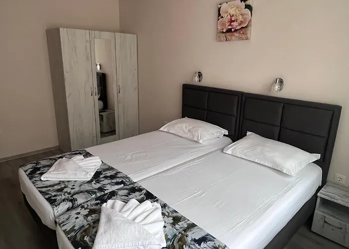 и студиа алекса And Alexa סוזופול