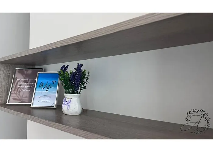 и студиа алекса And Alexa