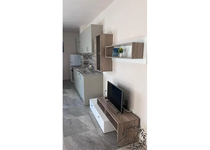 и студиа алекса And Alexa