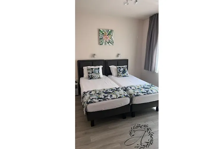 и студиа алекса And Alexa סוזופול