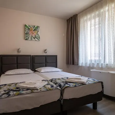 и студиа алекса And Alexa