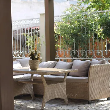 и студиа алекса And Alexa