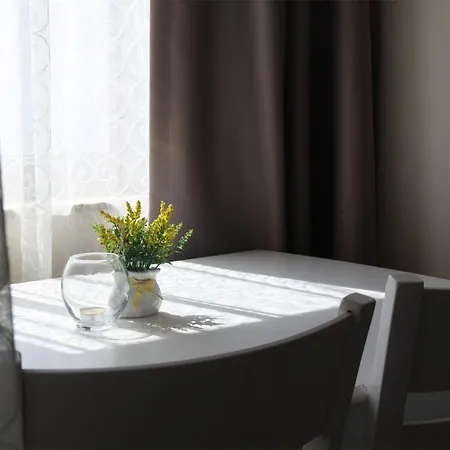 и студиа алекса And Alexa