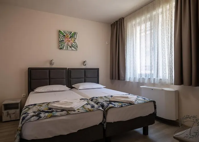 и студиа алекса And Alexa