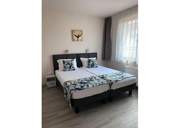 и студиа алекса And Alexa * Sozopol